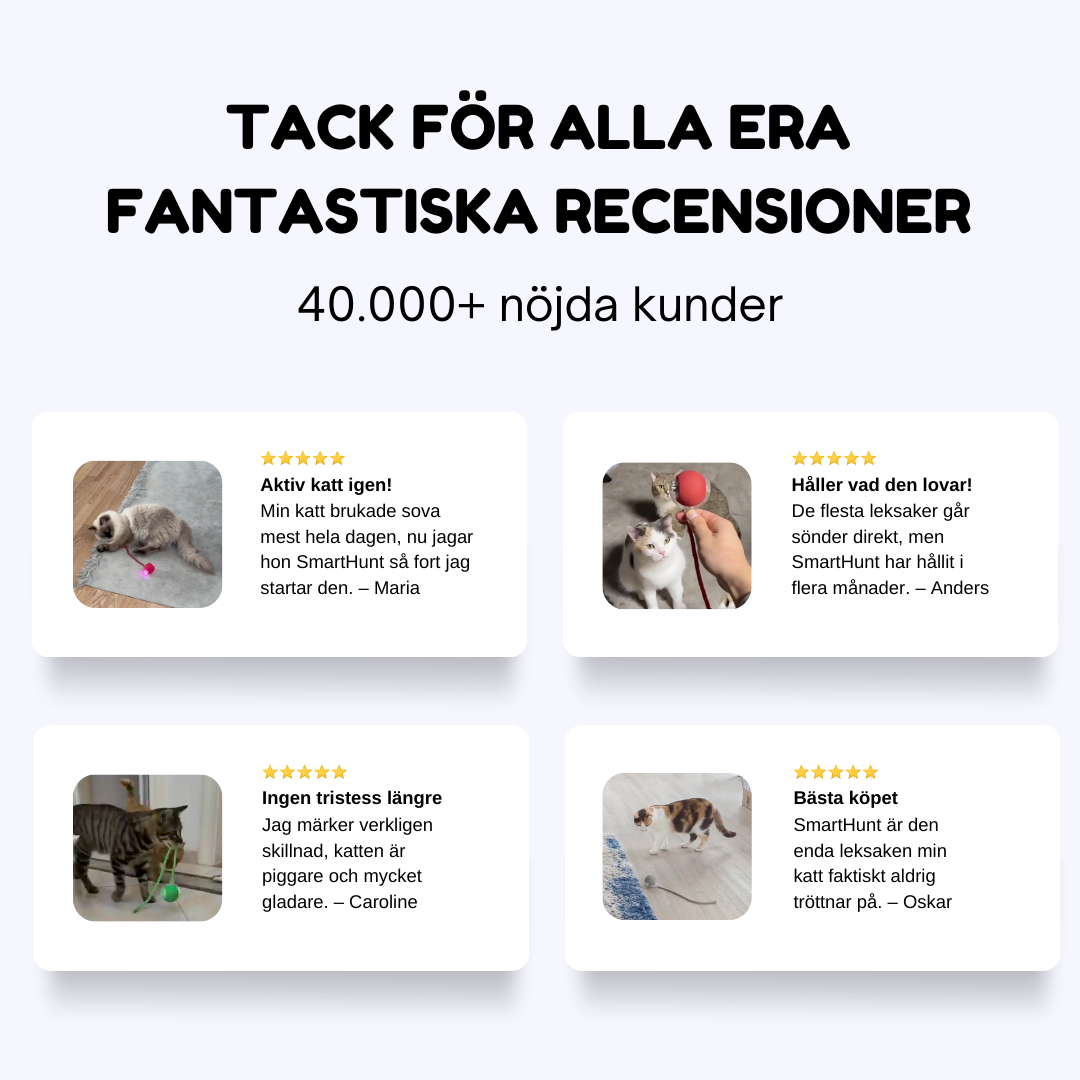 SmartHunt™ – Väcker din katts jaktinstinkt direkt