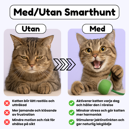 SmartHunt™ – Väcker din katts jaktinstinkt direkt