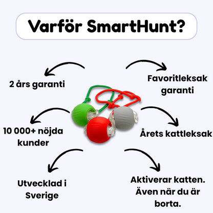 SmartHunt™ – Väcker din katts jaktinstinkt direkt