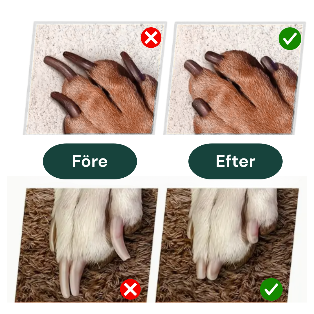 Klovård Pro™ – Ren Omsorg För Din Hund