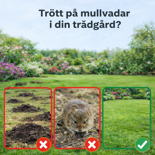 TrädVakt™ – Bli av med mullvadar snabbt & enkelt