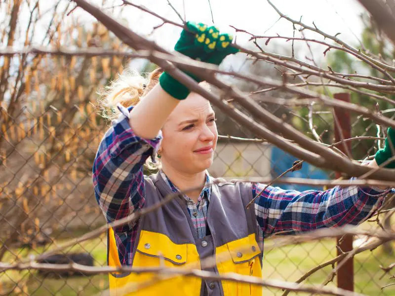 Nordfyn EasyCut™ – Elektrisk sekatör 20V för enkel beskärning