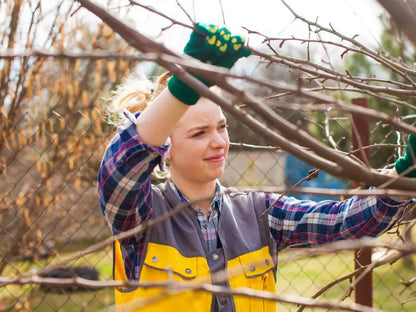 Nordfyn EasyCut™ – Elektrisk sekatör 20V för enkel beskärning