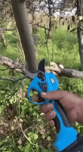 Nordfyn EasyCut™ – Elektrisk sekatör 20V för enkel beskärning