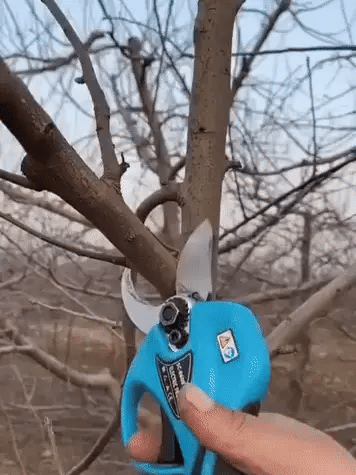 Nordfyn EasyCut™ – Elektrisk sekatör 20V för enkel beskärning