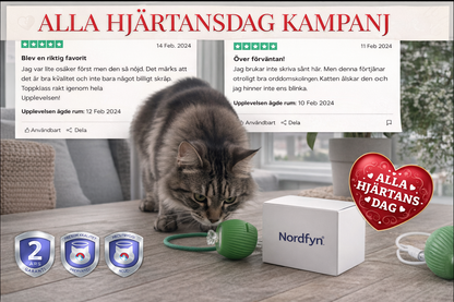 SmartHunt™ – Väcker din katts jaktinstinkt direkt